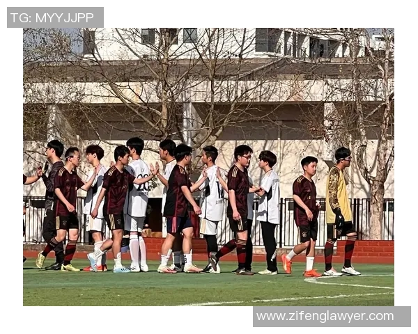 足球肥苏带你领略绿茵场上的激情与梦想，探讨足球背后的故事与文化